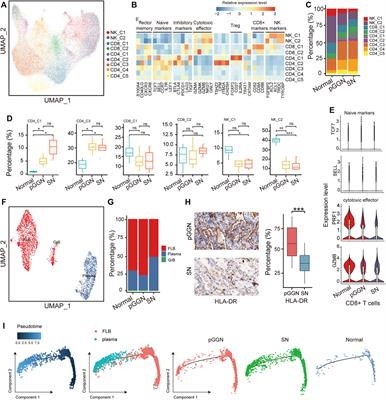 Single-cell RNA sequencing reveals the cellular and molecular changes that contribute to the progression of lung adenocarcinoma